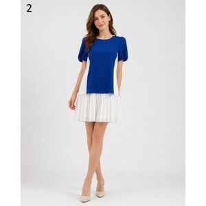 MASTINA Colorblock Dress Womens 36 XS Blue White Pleated Tie Zip Back Polyester